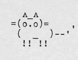 typewriter cat_2015.jpg