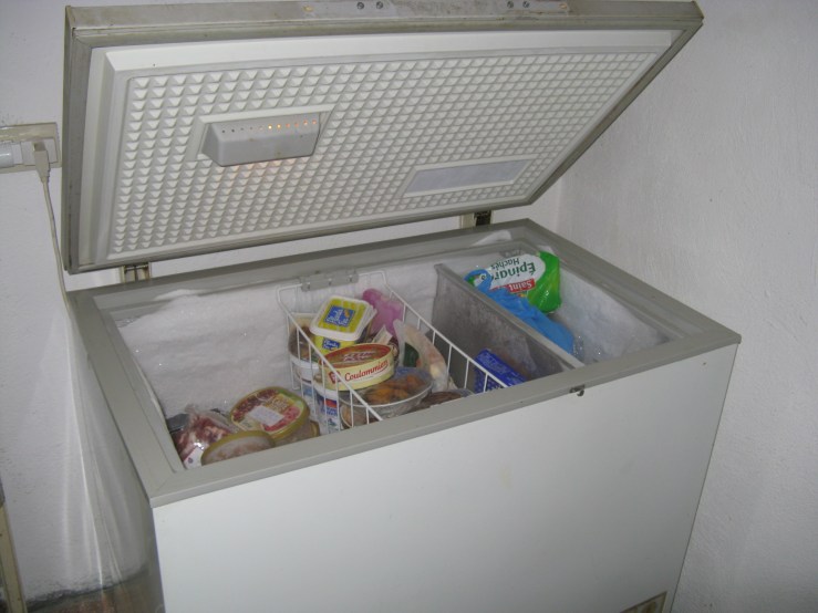 Sarah freezer 002