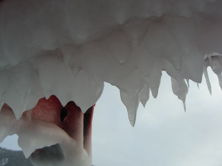 ferry icicles silh-s