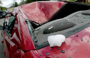 Fell in Tampa, Florida, 2007 (photo from Martinez-Frias' website cited in this post)