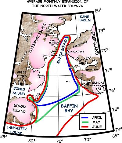 one of the most important Arctic polynyas, the Great ..., expands + contracts annually