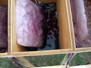 03iceblocks in TYH-aug15-sm due to rain and cool conditions, it took 10-12 hours for the ice blocks to melt