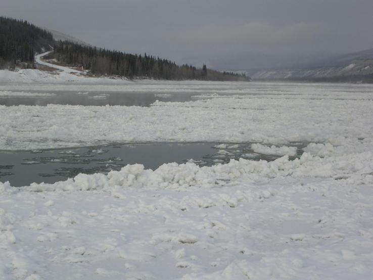 november 7 near the ferry landing