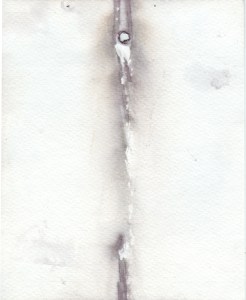 13aug16-6ofsome-sm 13aug16-6ofsome-sm