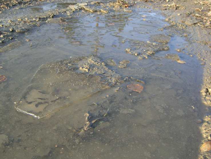 dawson mudfreeze-sun3-sm