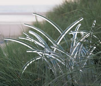 Glass-Grass-Neil-Wilkin-199