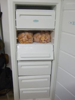 congelateur 2